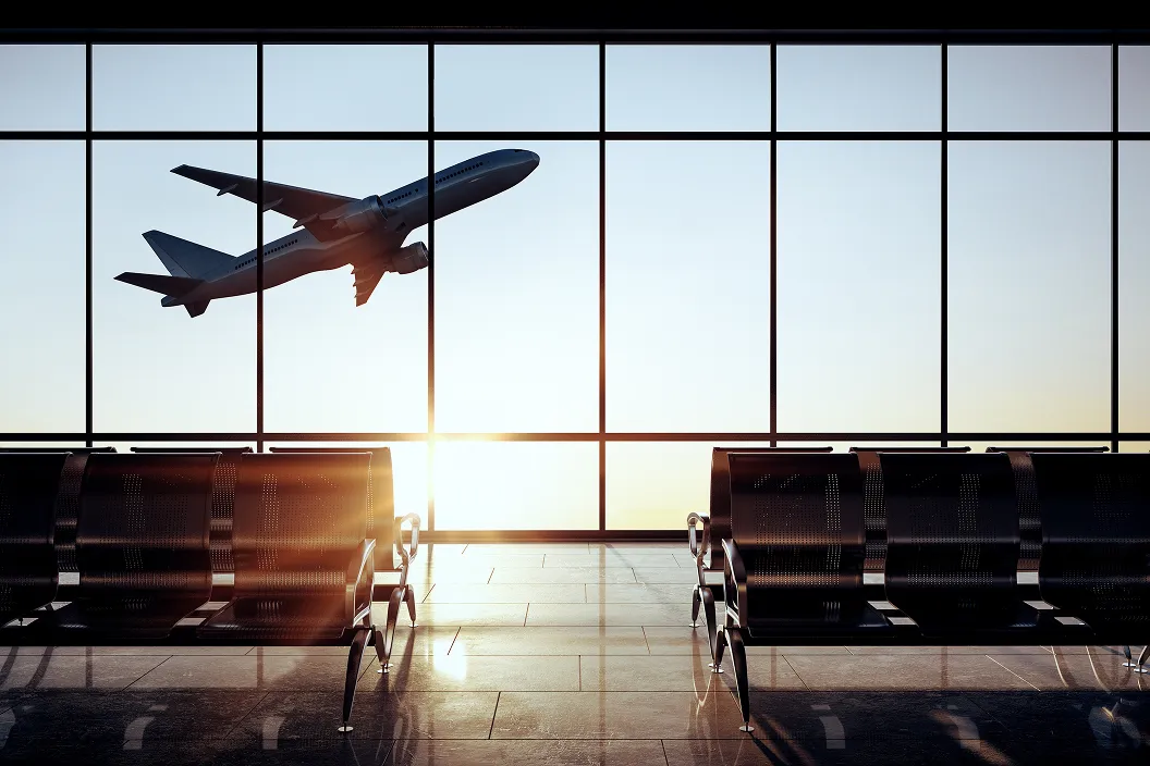 Domestic travel